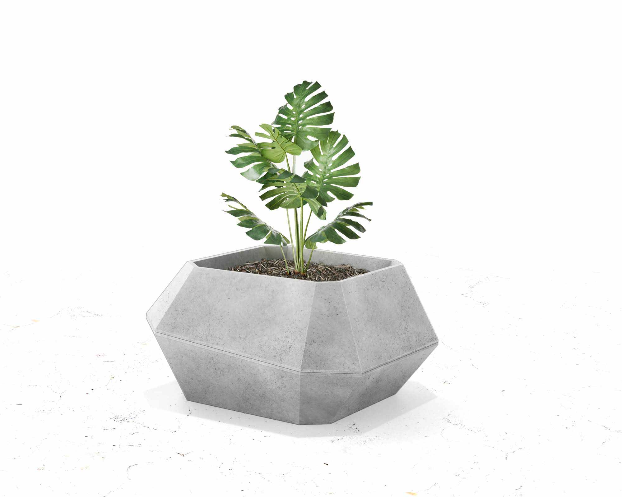 Street and Garden –Gem-Planter—hero