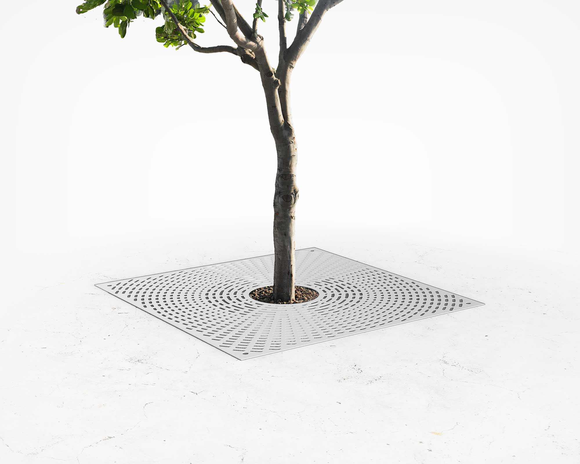 Street and Garden –Marina—Tree-Grate—HERO