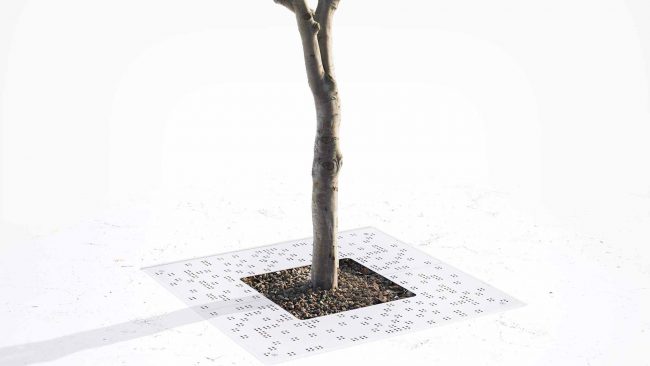 Tree Grate