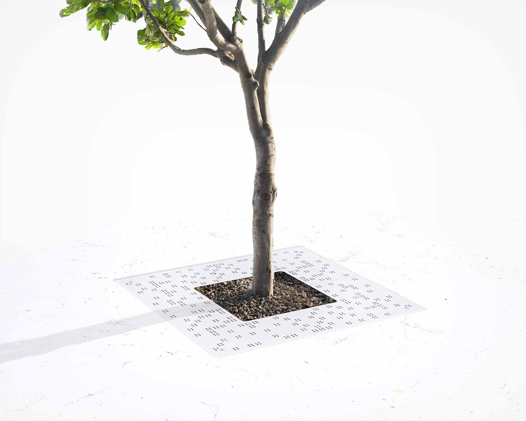 Street and Garden –Sit-Tree-Grate—Hero-2